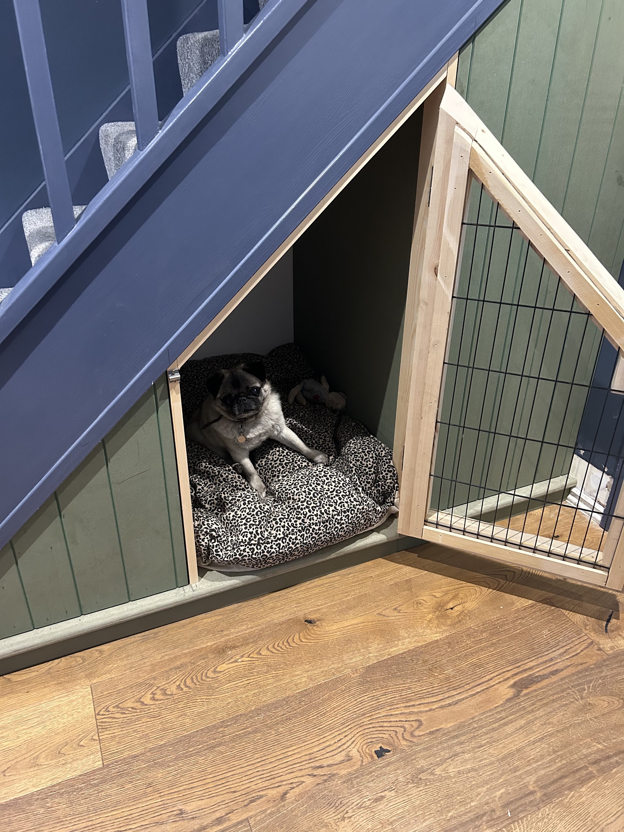 The finished under-stairs dog crate with the dog settled inside