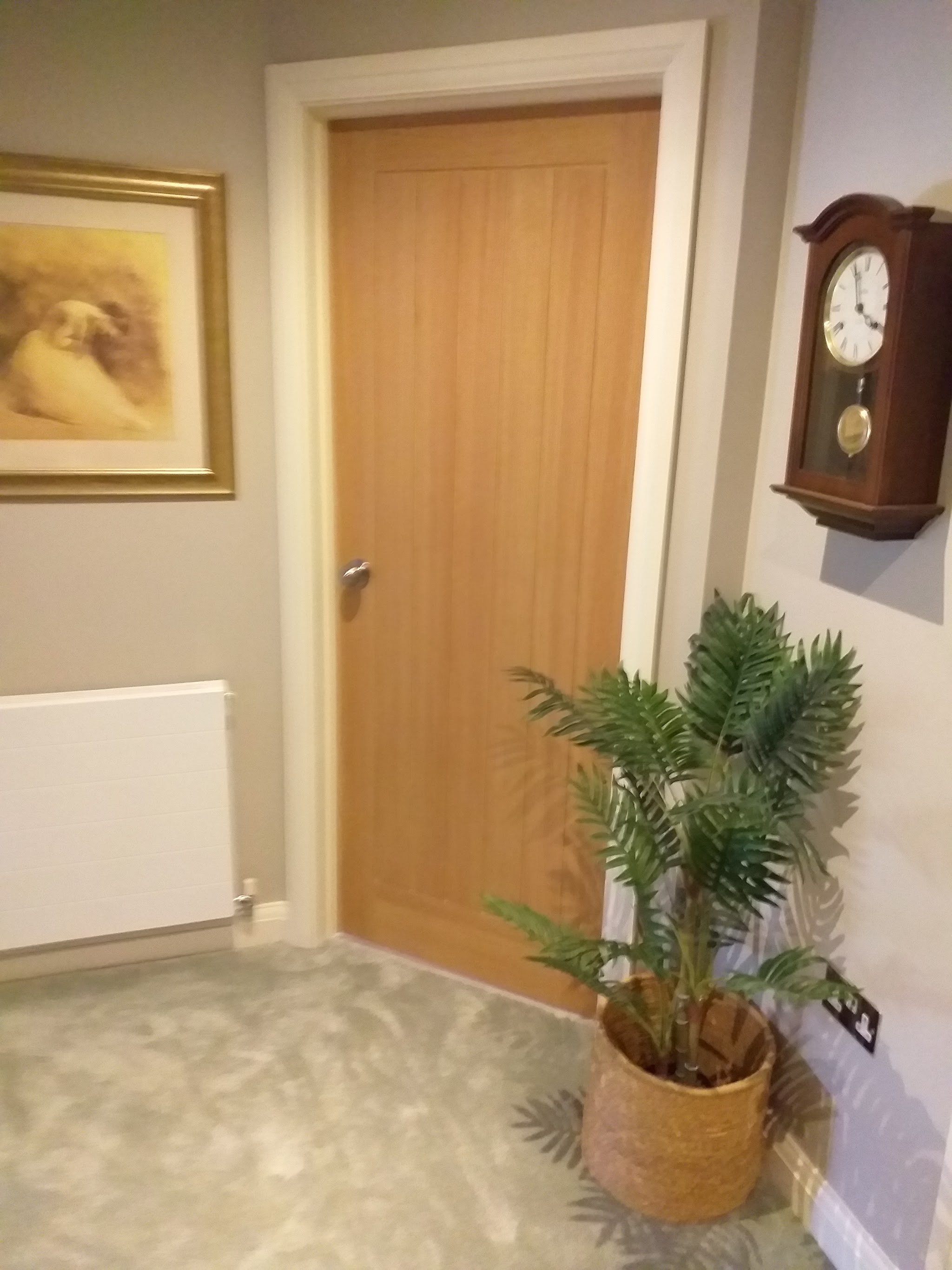 New oak interior door in a hallway